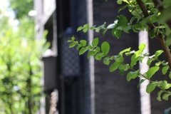 聯系我們